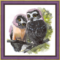 Две темные совы на ветке