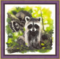 Милые еноты на дереве