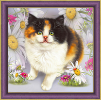 Пушистый трехмастный котёнок среди цветов