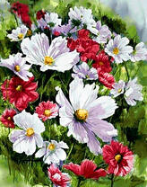 Нежные летние цветочки на клумбе