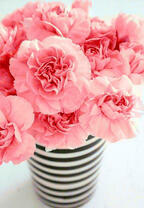 Полосатая вазочка с букетом розовых цветов