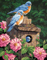 Красивые птички на скваречнике в цветущих розах