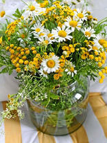 Баночка с ромашками и мимозой