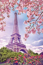 Цветущие деревья в весеннем Париже