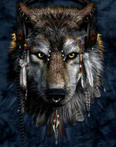 Серый волк с оберегами из перьев