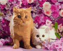 Два пушистых котика в розовых цветах