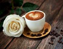 Белая роза и чашечка любимого кофе