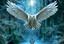 Белый филин с талисманом в лесу