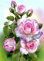 Нежно-розовые розы на светлом фоне