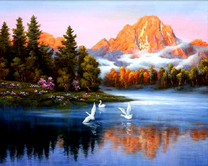 Белые лебеди в утреннем тумане