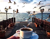 Вкусный с видом на причал и море