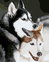 Игривые лайки