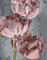 Бледные тюльпаны