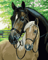 Лошадь и взрослый жеребёнок