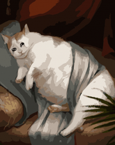 Толстый белый кот