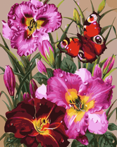 Гладиолусы и бабочка