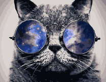 Котик с синими очками