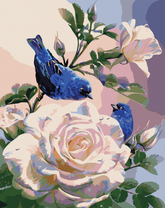 Синие птички на крупной розе