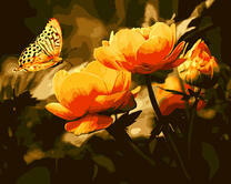 Бабочка на желтых розах