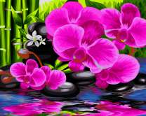 Фиолетовые орхидеи над водой