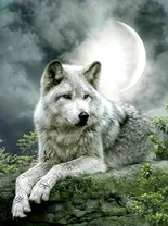 Картина по номерам Номерашка (Paintboy) «Коробка 25 шт. картин по номерам BOX25-GX21058»