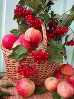 Картина по номерам Номерашка (Paintboy) «Коробка 25 шт. картин по номерам BOX25-GX5174» в интернет-магазине  в Москве Картина по номерам Номерашка (Paintboy) «Коробка 25 шт. картин по номерам BOX25-GX5174»