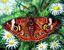 Красивая бабочка на цветущих ромашках