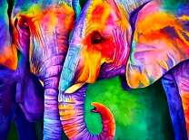 Нежность пары ярких слонов