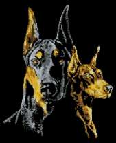 Два грозных добермана