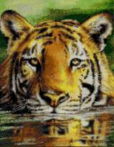 Грозный тигр в озере