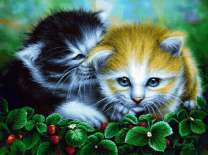 Милые маленькие котята в землянике