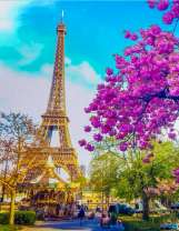 Цветущая весна в Париже