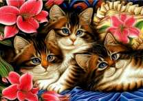 Котятки в цветах лилий