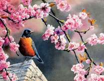 Птичка под цветущей веткой сакуры