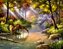 Олени у реки в утреннем лесу