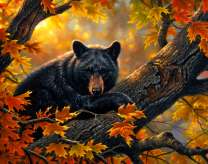 Черный мишка на осеннем дереве
