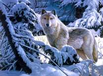 Большой волк в зимнем лесу