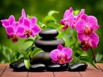 Скульптура из камней и орхидеи