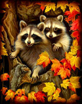 Пара милых енотов на осеннем дереве