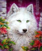 Белая волчица в лесу