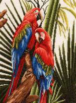 Пара больших ара на зелёной ветке