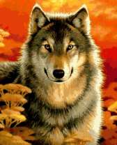 Большой пушистый волк в осеннем лесу