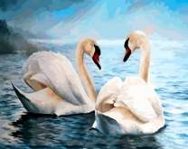 Пара лебедей на озере в тумане