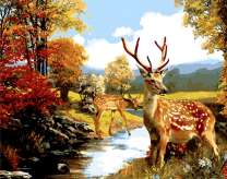 Олени на водопое у осеннего ручья