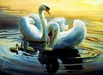 Пара белых лебедей с птенцами на озере