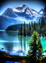 Холодное озеро, снежные горы и лес