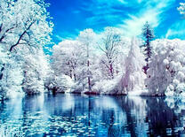 Ночь над сказочным зимним лесом