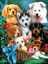 Щеночки разных пород в саду среди цветов