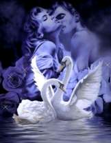 Поцелуй на озере и белые лебеди