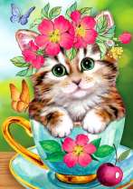 Котёнок, бабочка и вишня